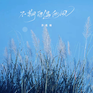 亨利冢本家女子别动队
