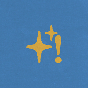 亨利冢本家女子别动队
