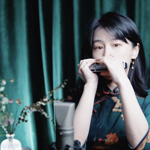 亨利冢本家女子别动队
