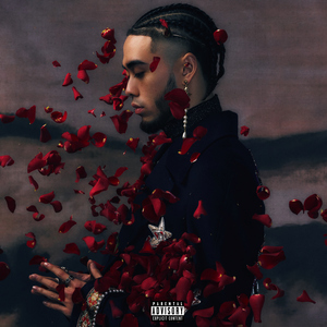 亨利冢本家女子别动队
