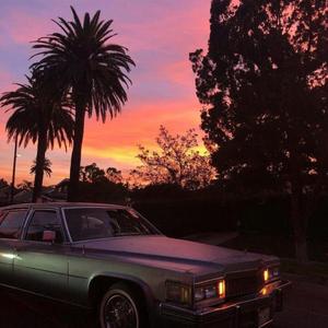 亨利冢本家女子别动队
