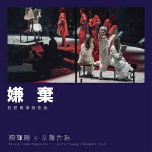 亨利冢本家女子别动队
