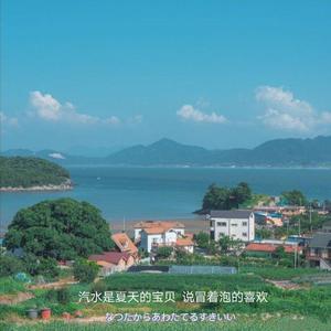 亨利冢本家女子别动队
