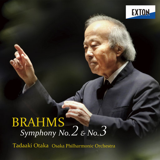 亨利冢本家女子别动队
